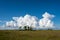 Bright white cumulus clouds over sawgrass prairie in Everglades National Park.