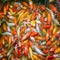 Bright White, Red, Yellow Japanese Koi Fish Eats Food in a Water