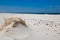 Bright, wide and white polish beach in Leba. Baltic sea. Sandy dunes in Poland, Slowinski National Park.