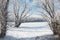Bright winter forest and river with snow, beautiful wild landscape with trees and glade