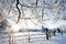 A bright winter scene with sunburst shining through snow covered tree branches and a wooden fence and gate in a country scene.Unit