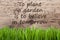 Bright Wooden Background, Gras, Quote Plant Garden Believe Tomorrow