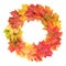 Bright wreath of autumn leafs of maple