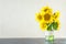 Bright yellow big sunflowers in glass vase on dark table on light texture background. Mockup banner with sunflower bouquet with c