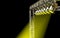 Bright Yellow Concert Lighting