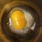 Bright yellow double egg yolk