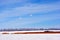 Bright yellow dry reeds line on river bank on meadow covered with snow, trees line on horizon, blue sky background