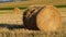 Bright yellow and golden Haystacks on agricultural field in sunny autumn day. Haystacks on the field, close-up view