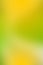Bright yellow gradient background with a green tint.