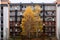 Bright yellow leaves on white birch trees. open corridors of condominium