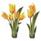 Bright Yellow and Orange Tulip Vector Illustration