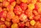 Bright yellow and red ripe cloudberry as a background