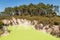 Bright yellow sulphur water pond in Waiotapu geothermal area near Rotorua, New Zealand