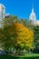 A Bright Yellow Tree during Autumn at Madison Square Park in New York City with the Empire State Building in the background