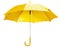 Bright Yellow Umbrella