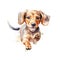 Brighten Up Your Day with This Playful Dachshund Pup Watercolor Stock Photo! AI Generated