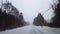 *Brighter Version* Driving Rural Evergreen Forest Road During Winter Snow Storm in Day.  Driver Point of View POV Snowing Blizzard