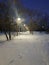 brightly burning streetlights along a snowy road in the park in the evening.  Place for text, mobile photo vertical.