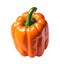 Brightly colored bell peppers for cooking menus, food books , Orange sweet bell pepper isolated