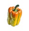 Brightly colored bell peppers for cooking menus, food books Orange sweet bell pepper isolated