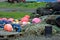 Brightly colored buoys