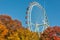 Brightly colored Ferris wheel against the blue sky and fall