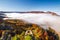 Brightly colored forests of mountain valley in the morning mist