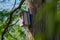 Brightly colored handcrafted bird nesting box