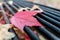 A brightly colored red leaf that has fallen on a BBQ grill at Stockton Lake State Park, MO.