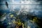 Brightly colored rocks and green underwater seaweed seen through the crystal clear waters of harbor port at lake