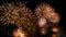 Brightly colourful firework in the night sky - Abstract holiday background