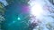 Brightly lit green spruce tree branches and needles against the background of soft blue sky