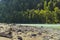 Brightly lit pebble beach with quaint dead dry tree trunk, green mountain river, mountain landscape