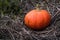 Brightly orange pumpkin on the hay.