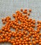 Brightly orange sea-buckthorn berries are scattered on the table