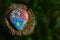 A brightly painted stone lies on a wooden post, against a green background, in nature