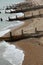 Brighton Beach Groynes