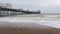 Brighton beach and  Palace Pier