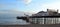 Brighton pier seagulls