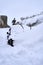 Brihuega, Spain - January 9, 2021: A car buried by the fallen snow after the Filomena snow storm in the town of Brihuega (Spain