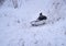 Brihuega, Spain - January 9, 2021: A young man jumped down a snowy slope into a bathtub after the snow storm Filomena in the town