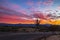 Brilliant Colored Arizona sunrise in North Scottsdale
