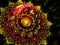Brilliant Cosmic Astral Flower - Meditative Mystic Vision