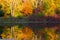 Brilliant Fall Trees Reflected in Water in Wright Woods