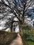 Brilliant picturesque nature walk taking in the fantastic Smardale Viaduct and Scandal Beck/Gill.