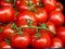 Brilliant Red Vine Ripe Tomatoes