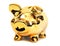 Brilliant shining golden piggy bank