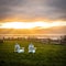 Brilliant Sunset over Ocean with Chairs