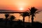Brilliant vacation destination beach sunrise, Yasmine Hammamet, Tunisia, Africa