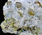 Brilliant zinc blend crystals, Sphalerite in quartz